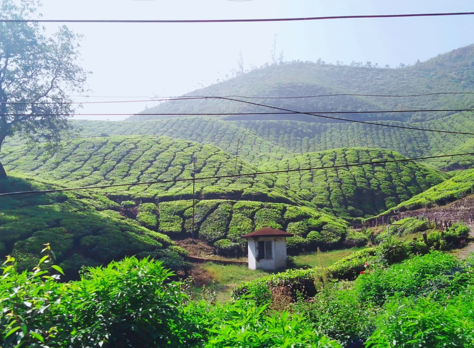 Zaereen - Sacred Journeys & Pilgrimages