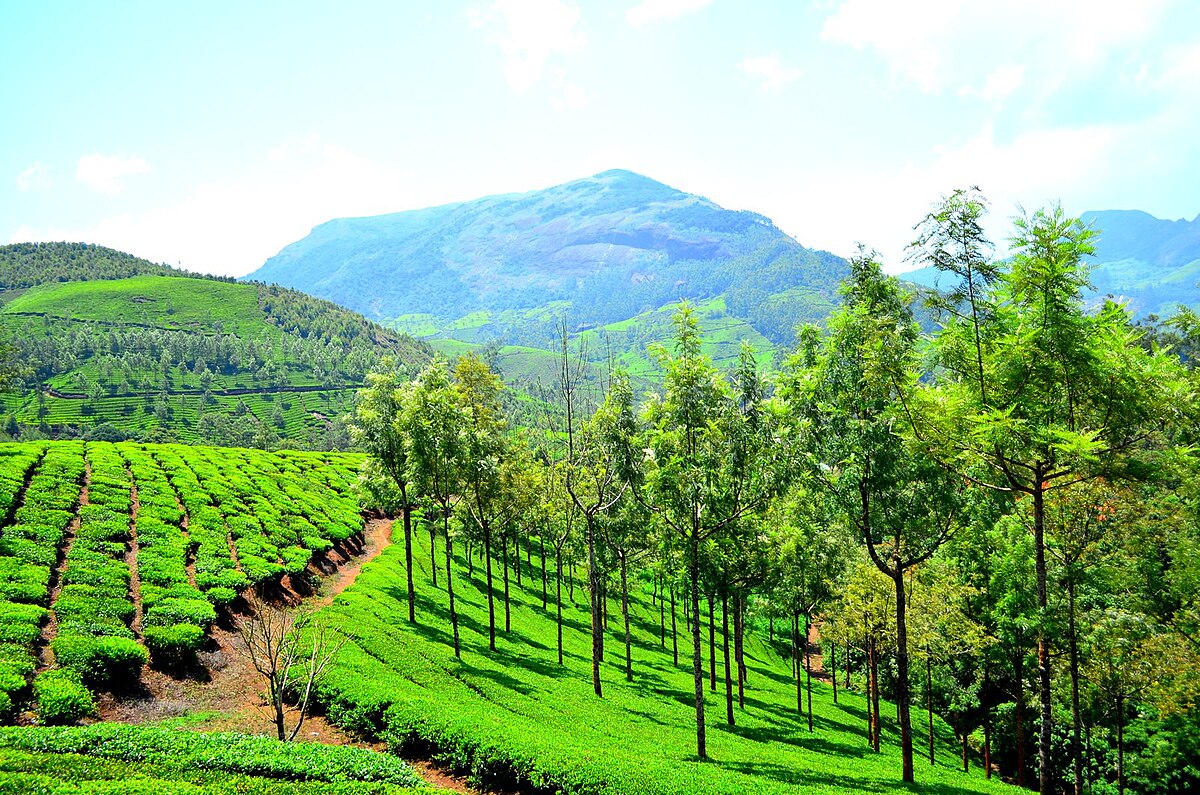 Discover Kerala: A Journey Through Nature and Culture