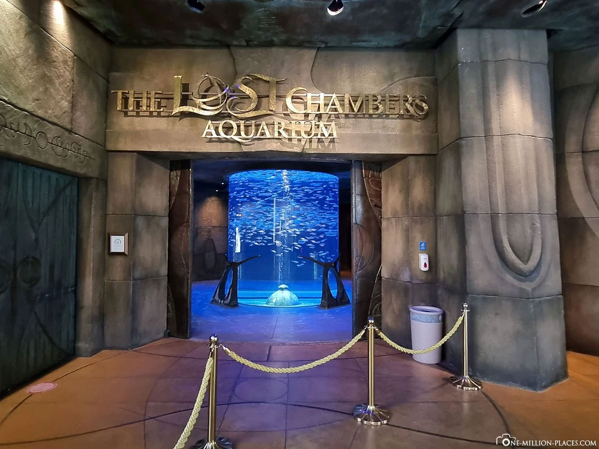 The Lost Chambers Aquarium